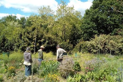 Permaculture potager